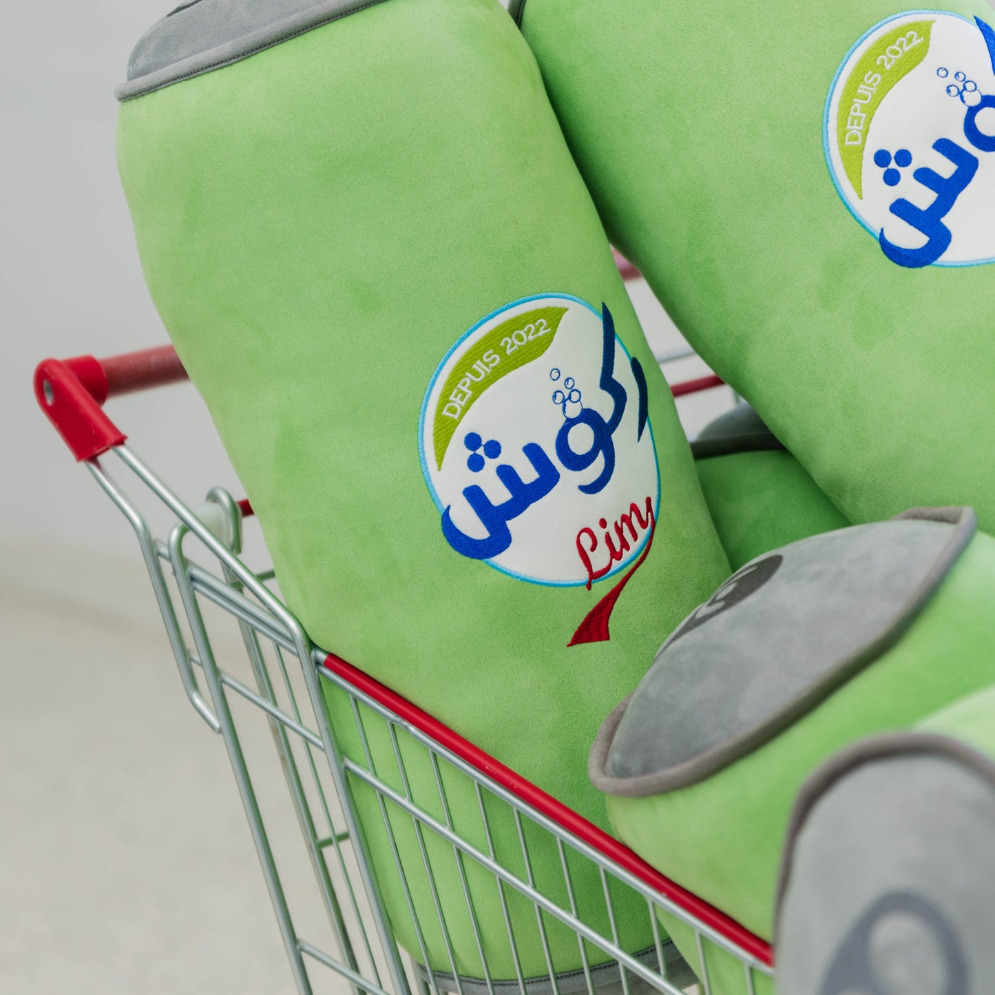 B#ga Lim pillow مخدّة قازوزة