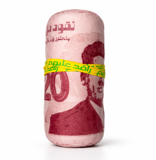 1Rolled 20 DT Pillow – With Secret Pocket rkush store